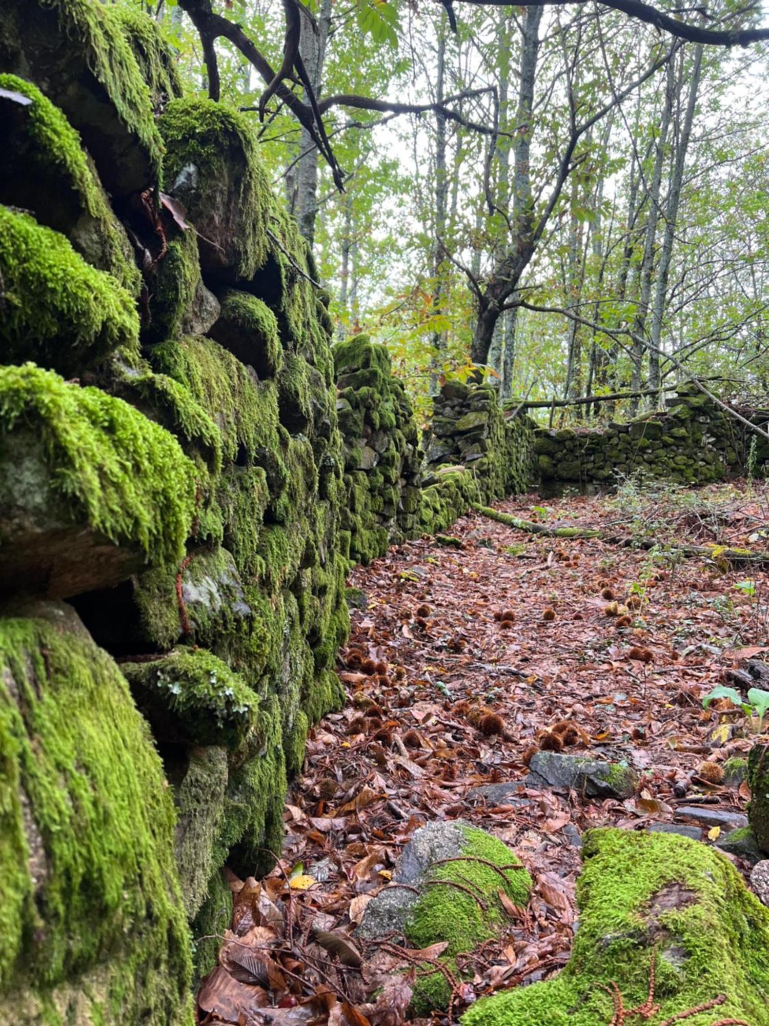 Vila Terracea Hoyos Exteriér fotografie